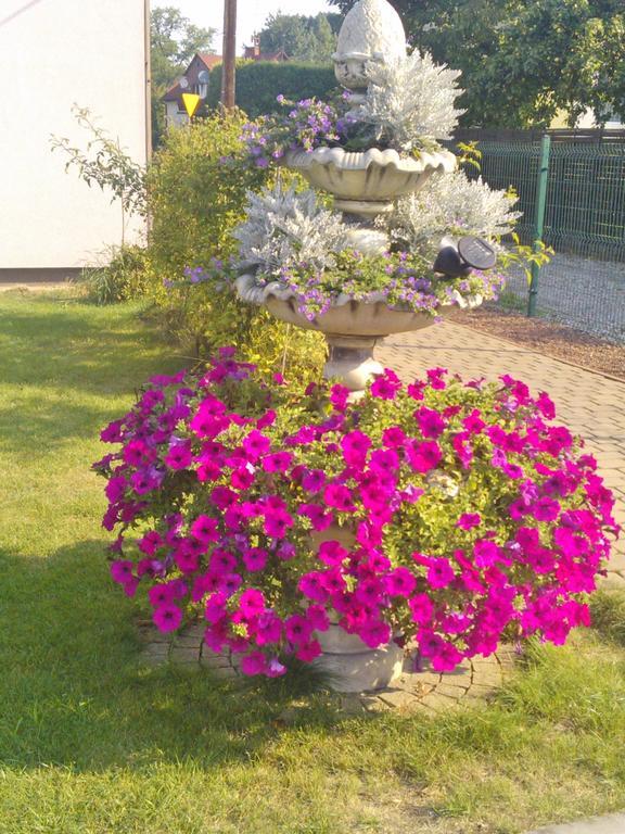 Pokoje Hotelowe Wiktoria Goczalkowice-Zdroj Exterior photo